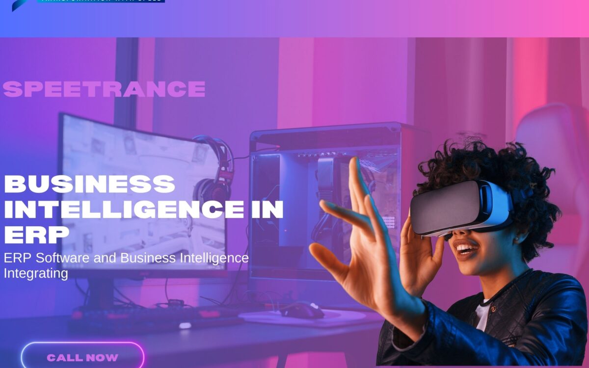 Business Intelligence in ERP