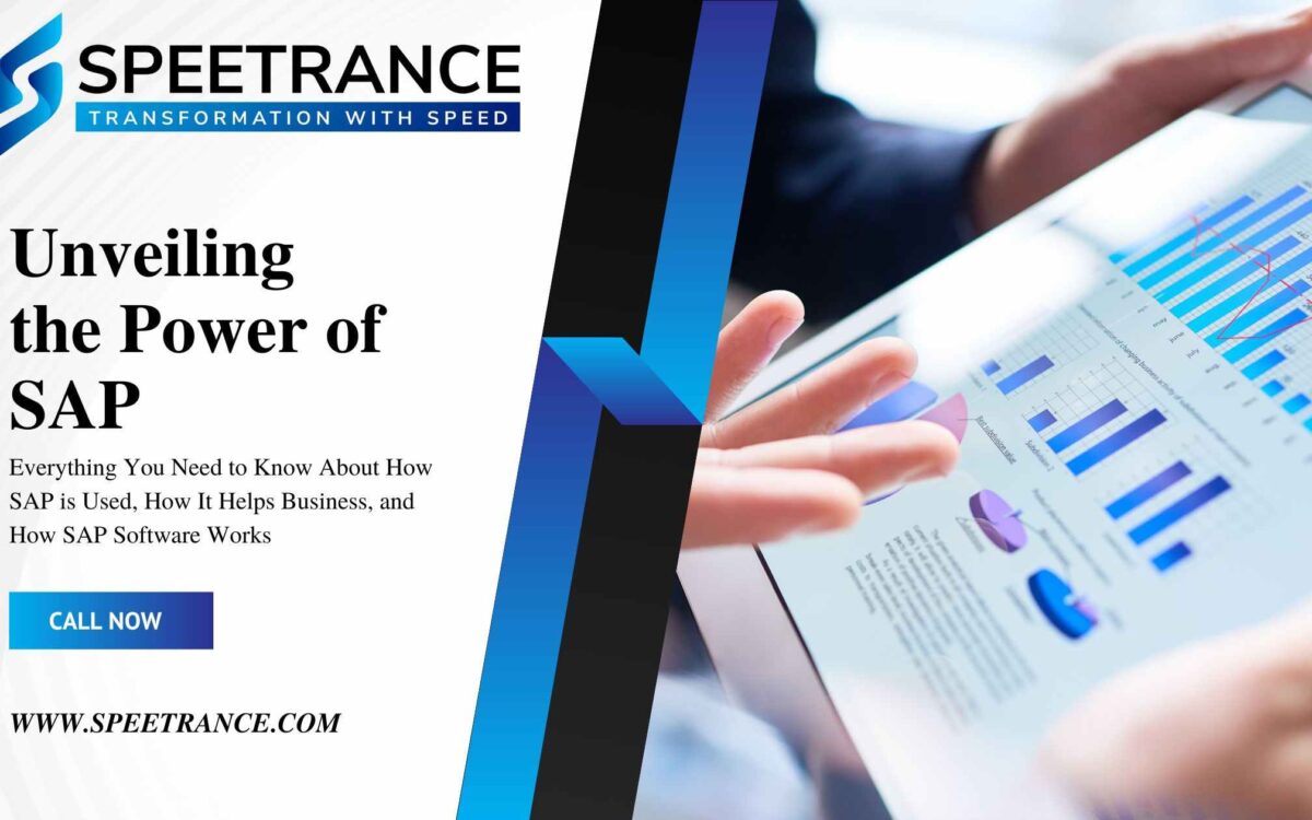 Unveiling the Power of SAP
