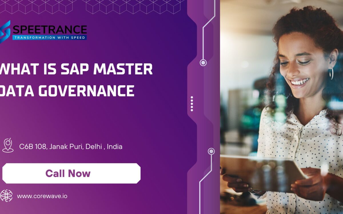 What is SAP Master Data Governance