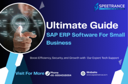 Ultimate Guide Sap Erp Software For Small Business